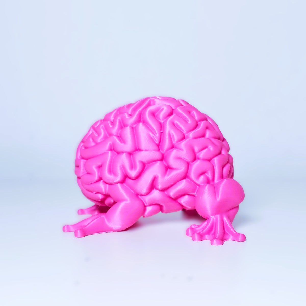 Gehirn Frosch Kreatur Figur