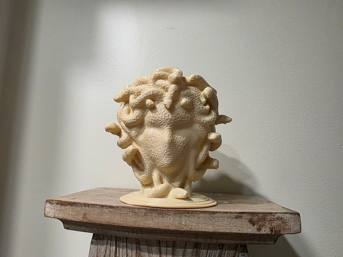 Medusa Pflanztopf minimalistisch