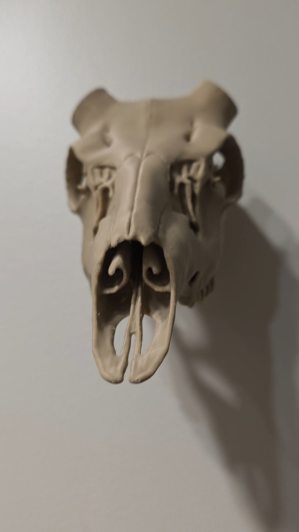 Hirschschädel Replik Wanddeko Variante 39