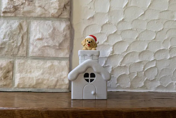 Lichthaus Golden Retriever schaut heraus