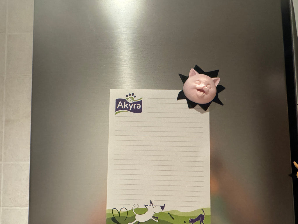 Kühlschrankmagnet Britisch Kurzhaar Deko