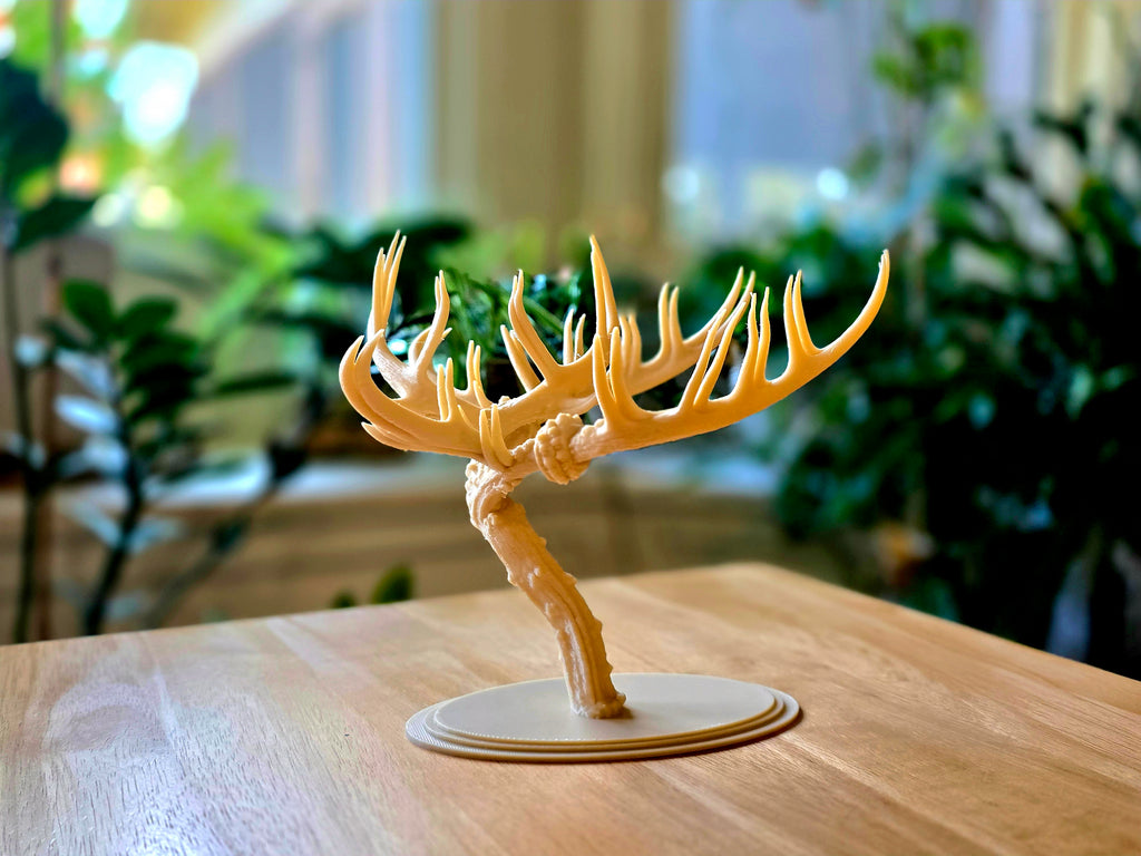 Bonsai Skulptur aus Hirschgeweih