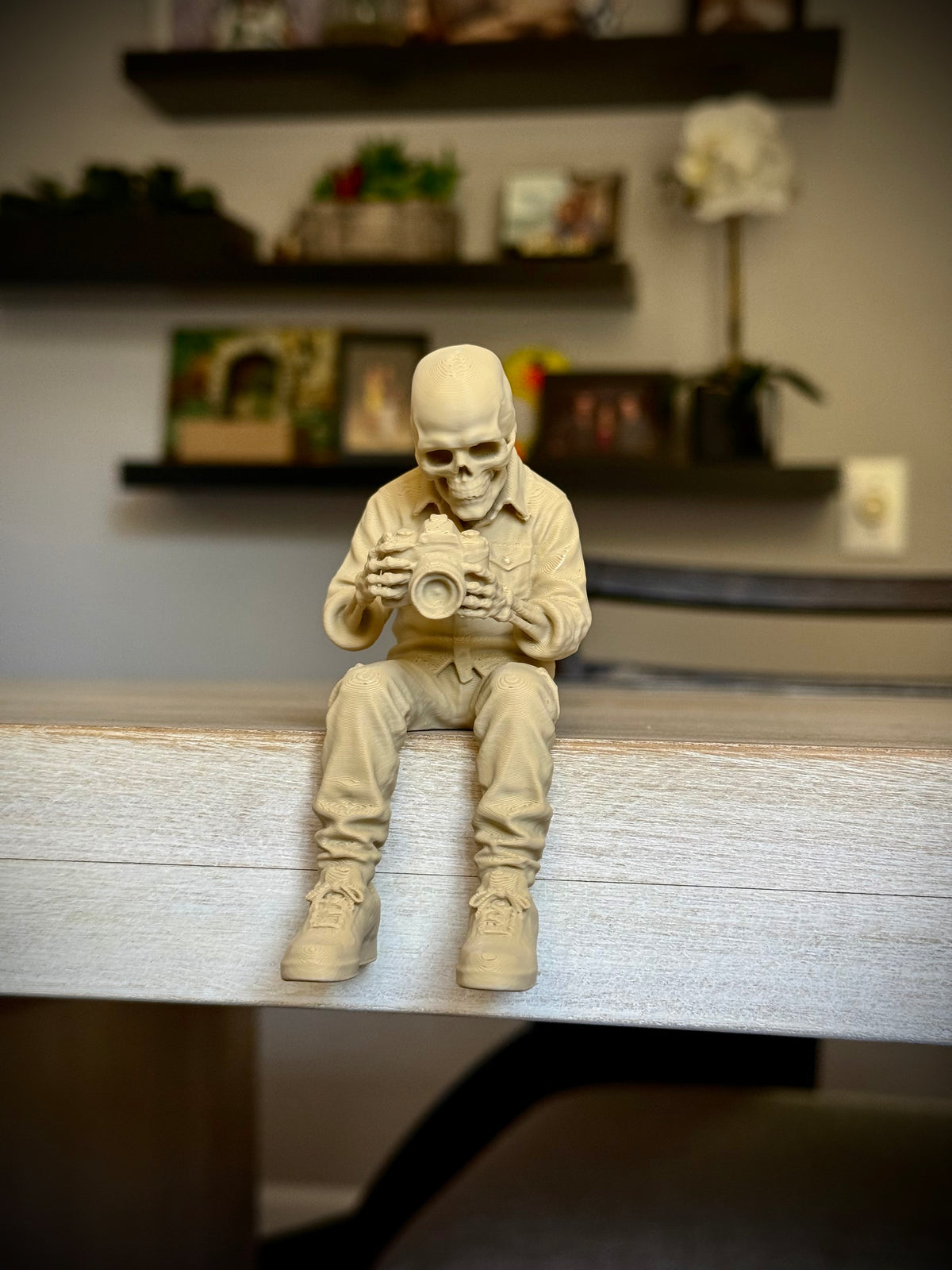 Totenkopf Kantenhocker Fotograf