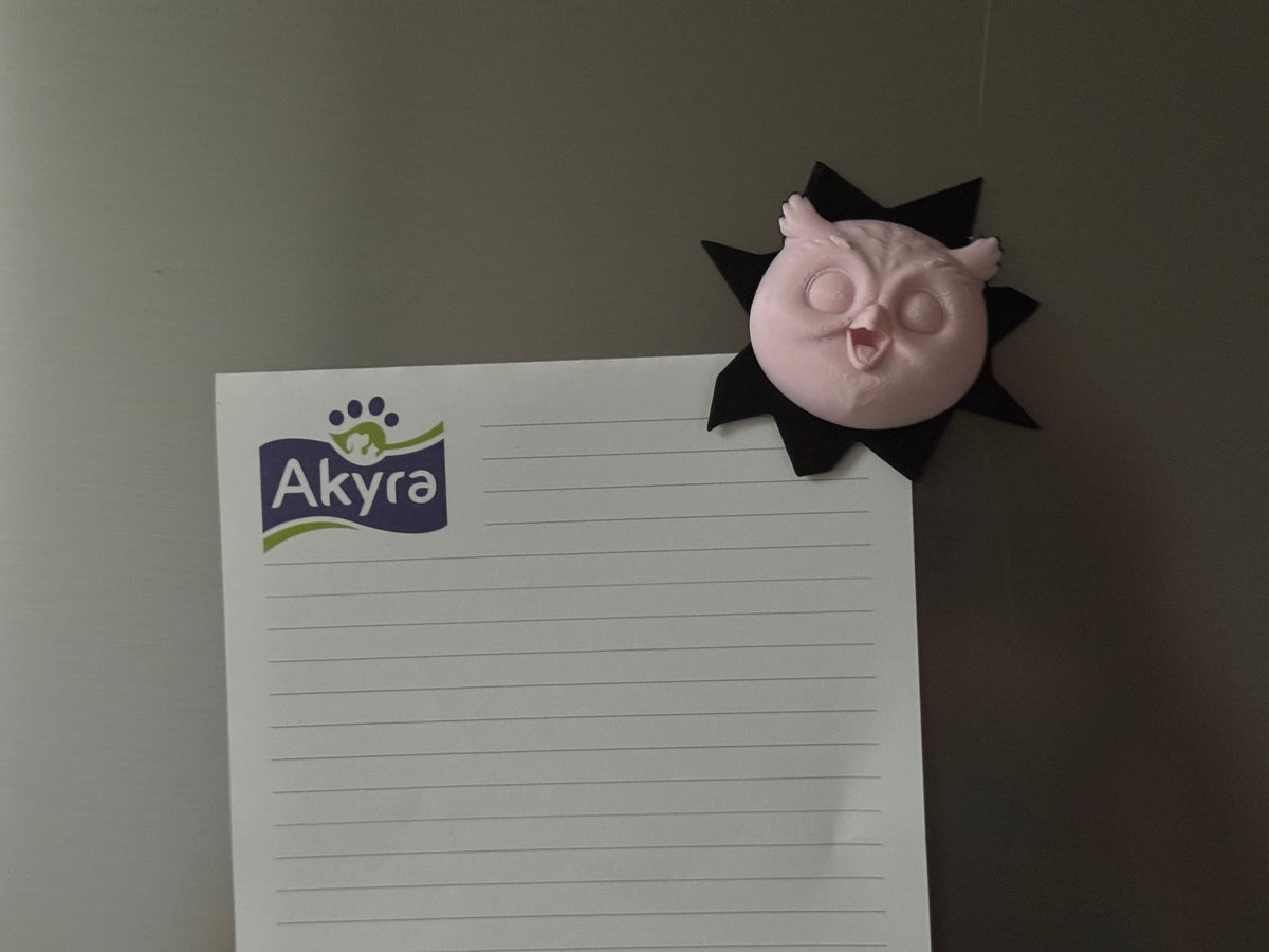 Kühlschrankmagnet Eule Deko