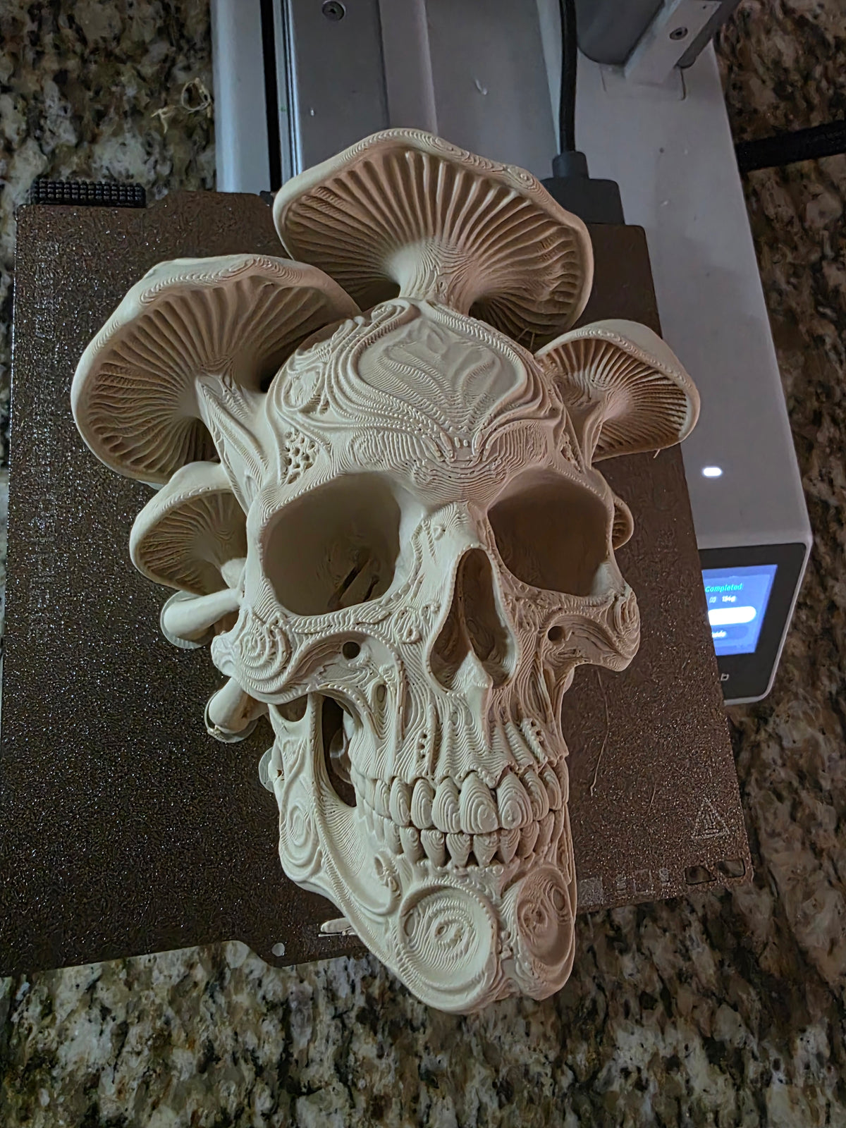Pilz Totenkopf Wanddeko