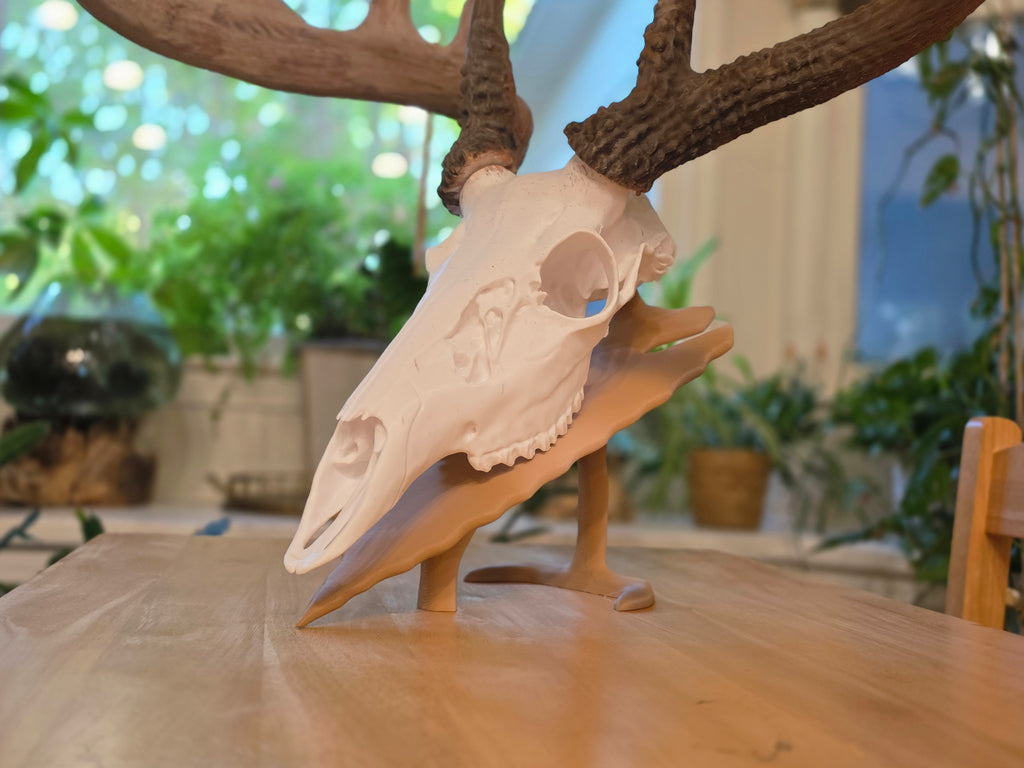 Hirschschädel Replik Wanddeko Variante 33