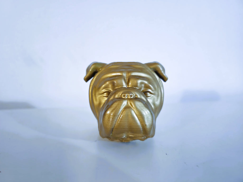 Boxer Hundekopf