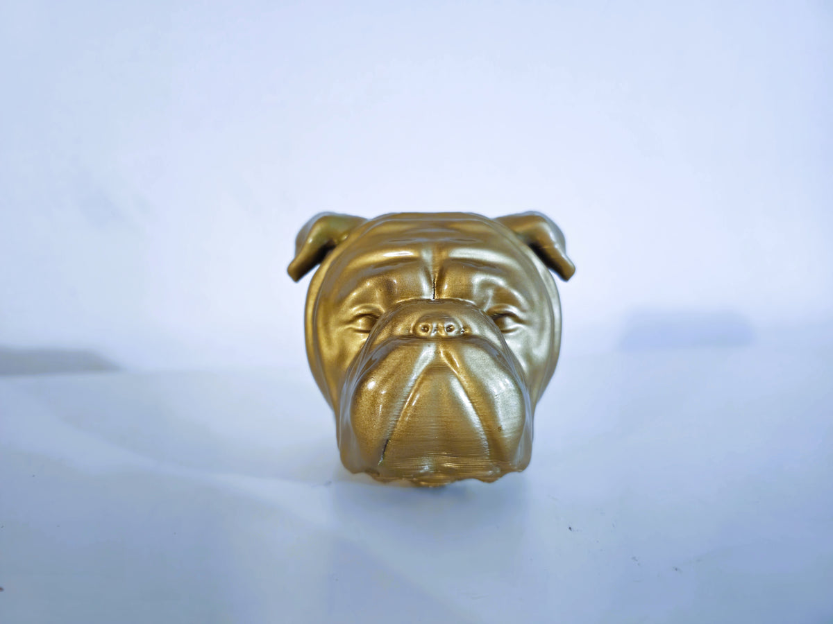 Boxer Hundekopf
