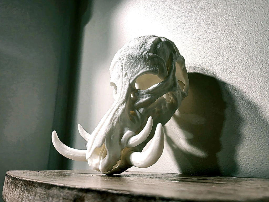Wildschwein Maske tragbar