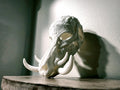 Wildschwein Maske tragbar