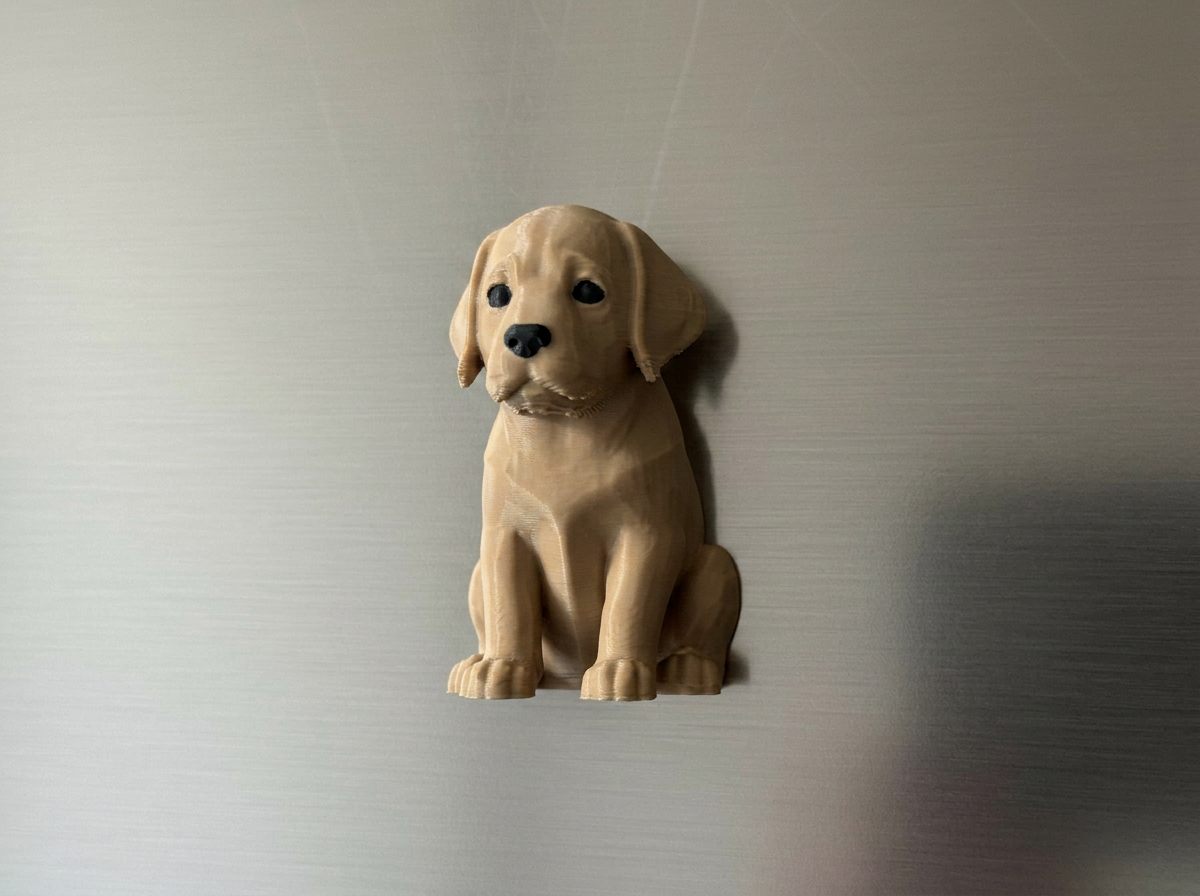 Kühlschrankmagnet Labrador Deko Variante 2