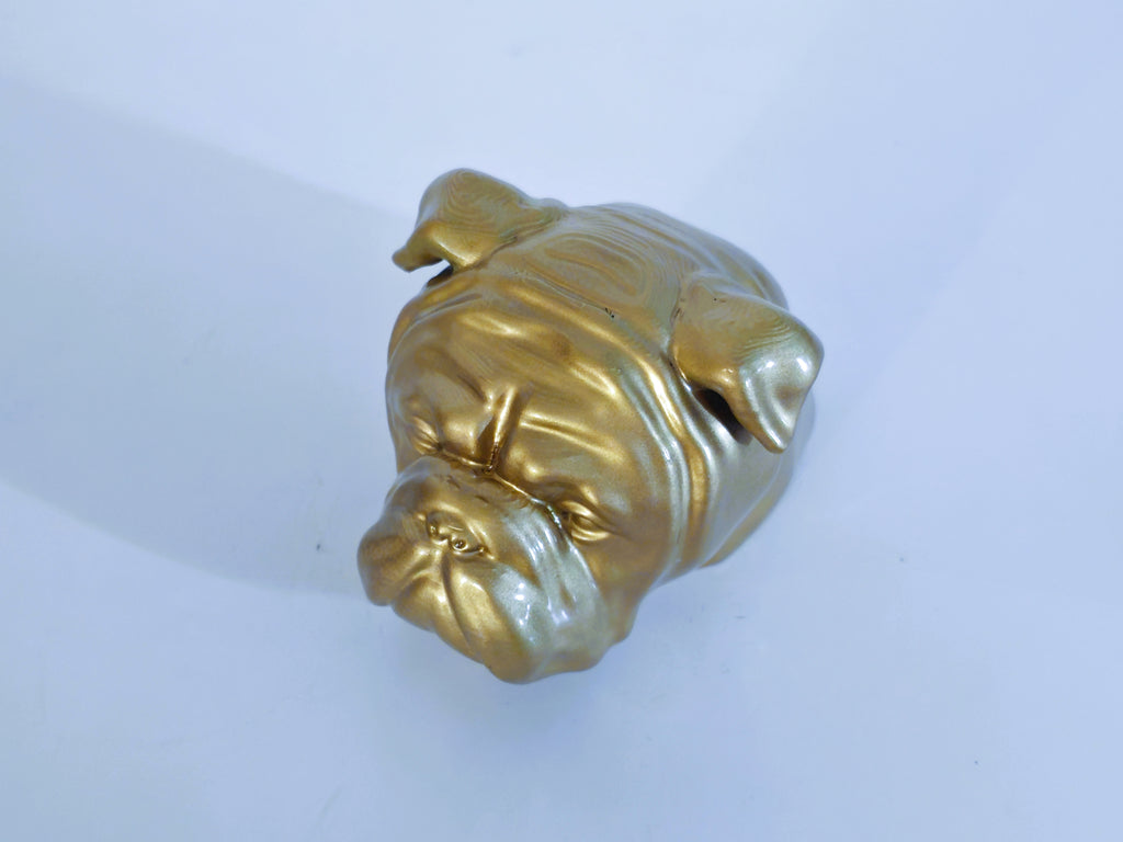 Boxer Hundekopf