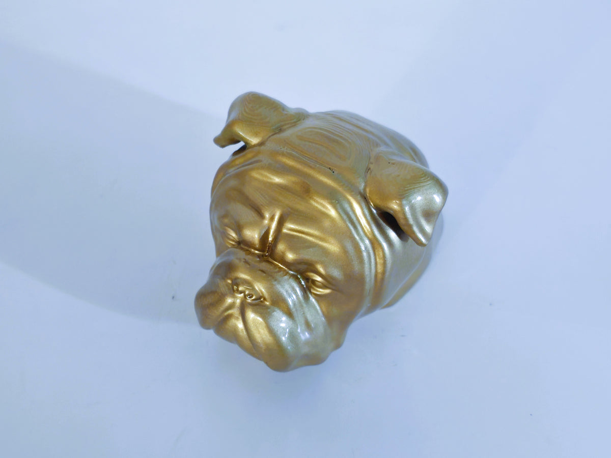 Boxer Hundekopf