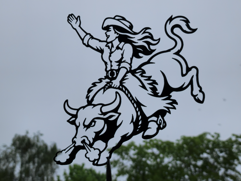Cowgirl Bull Rider 2D Wandkunst Wandbild Wanddeko Wanddekoration Tierfigur