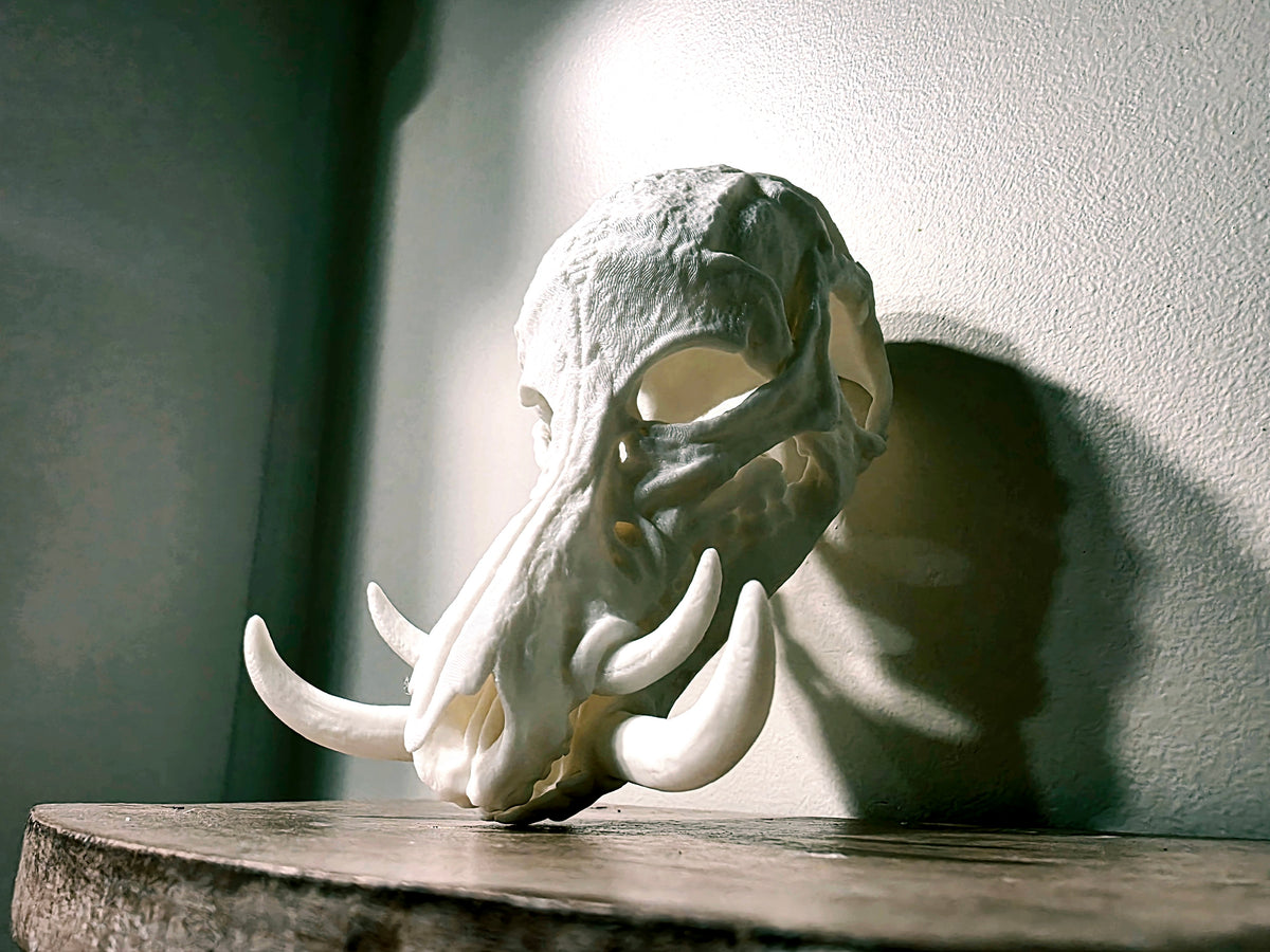 Wildschwein Maske tragbar