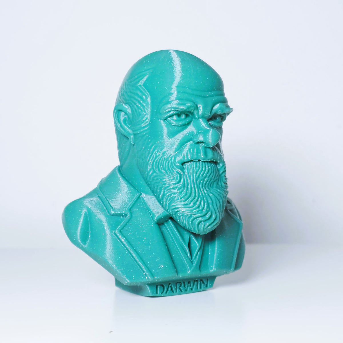 Charles Darwin Büste