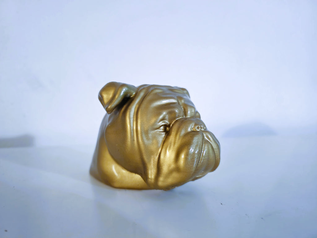 Boxer Hundekopf