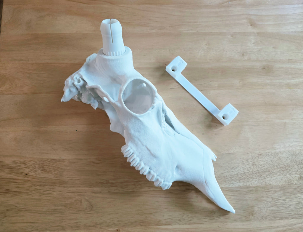 Hirschschädel Replik Wanddeko Variante 53
