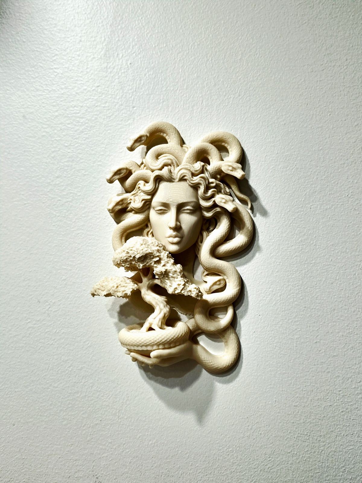 Medusa Bonsai Wanddeko