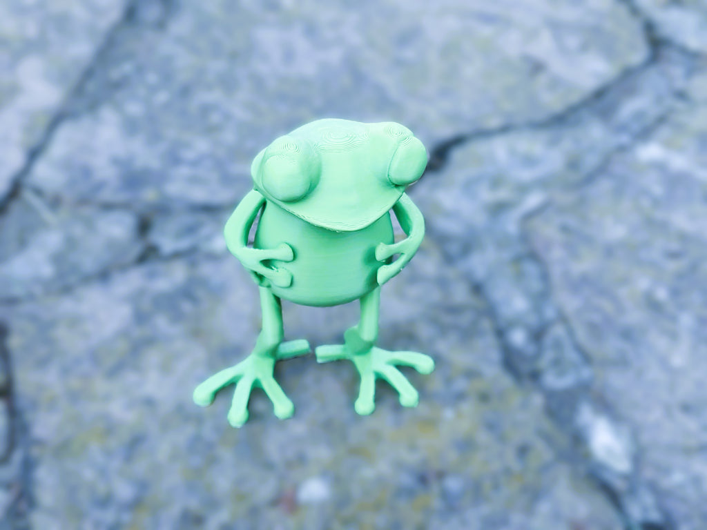 Frosch abstrakt Figur