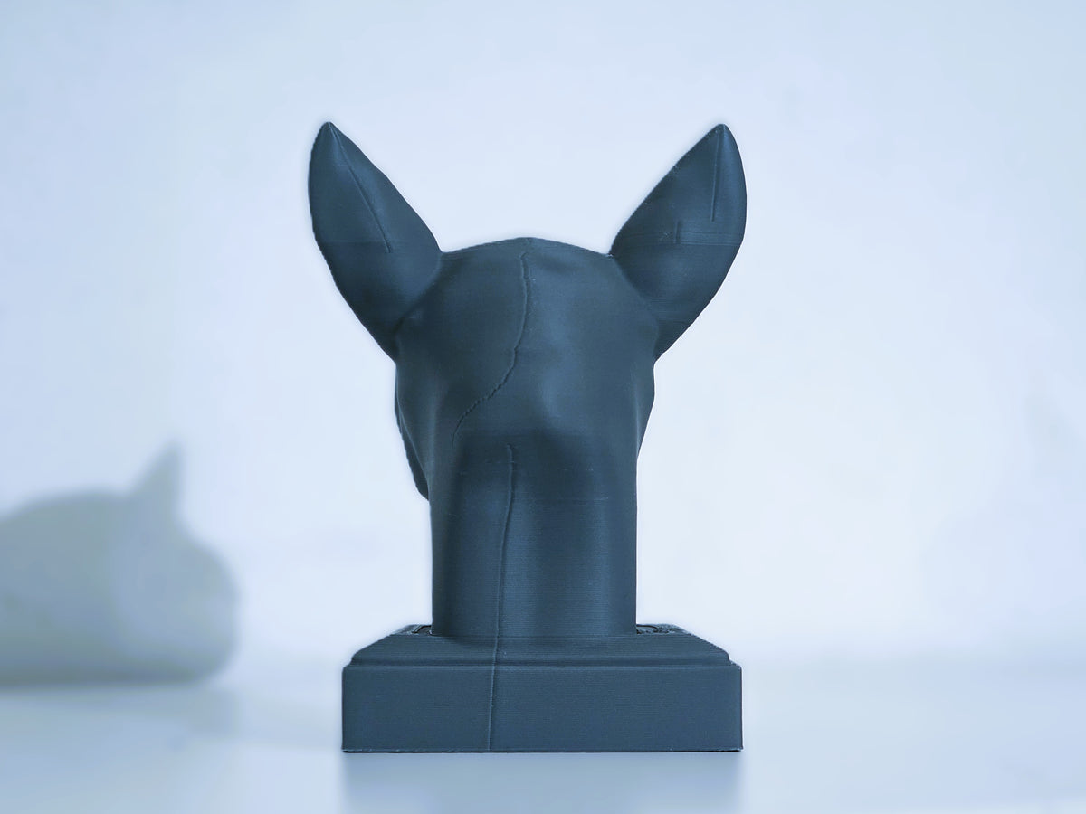 Bullterrier Kopf