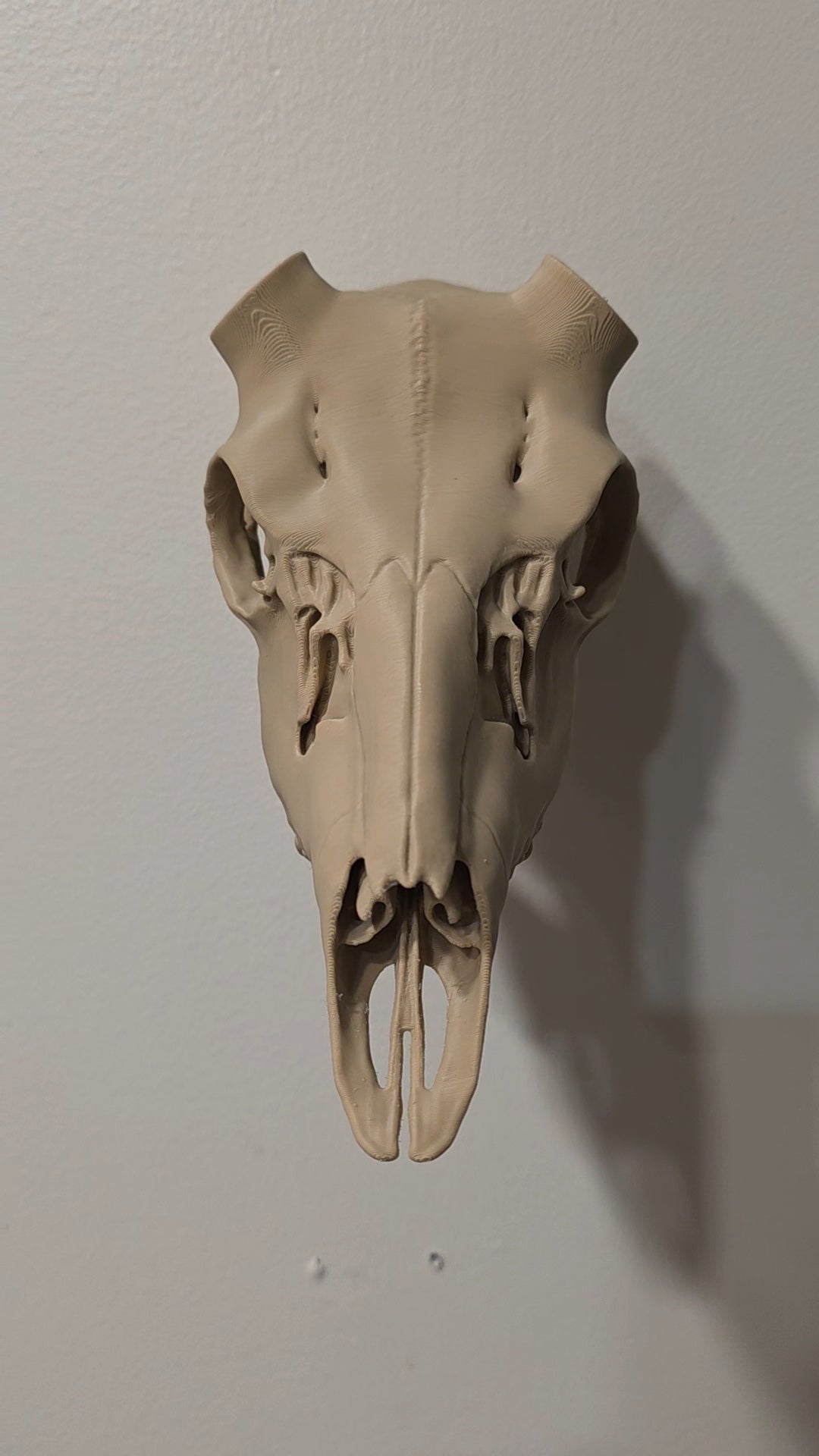 Hirschschädel Replik Wanddeko Variante 39