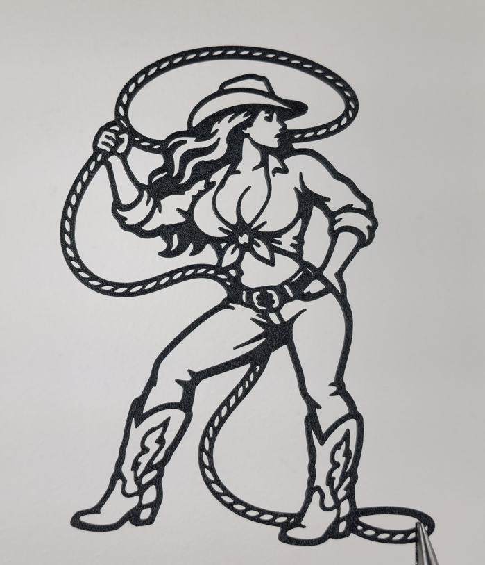 Cowgirl Rodeo 2D Wandkunst Wandbild Wanddeko Wanddekoration Tierfigur Deko