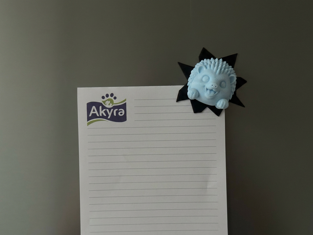 Kühlschrankmagnet Igel Deko