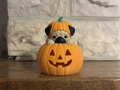 Teelichthalter Kürbis mit Mops Halloween Deko