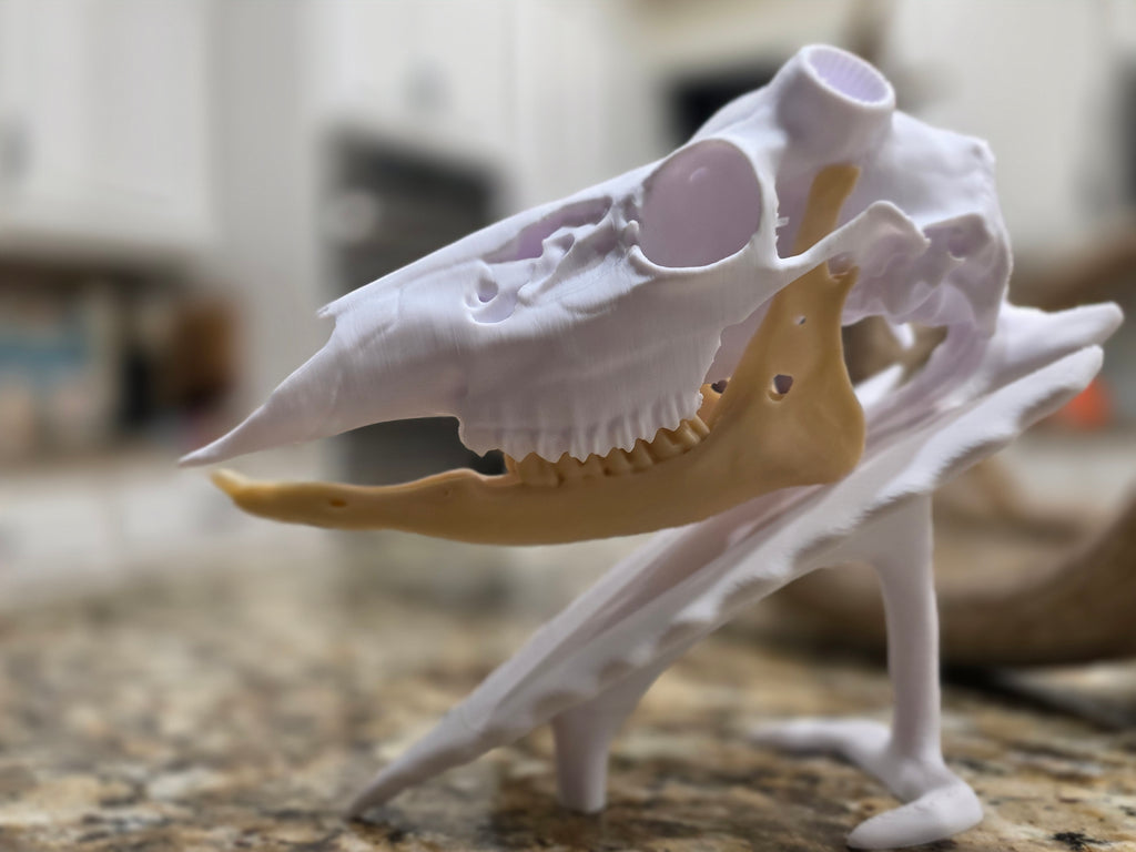 Hirschschädel Replik Wanddeko Variante 34