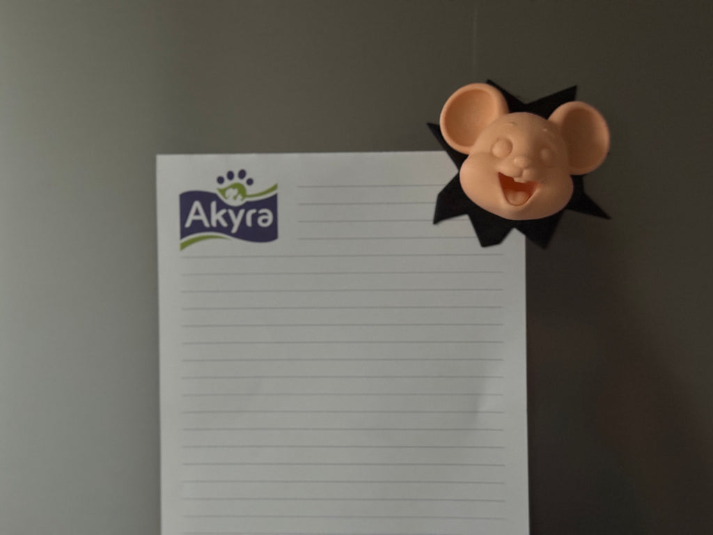 Kühlschrankmagnet Maus Deko