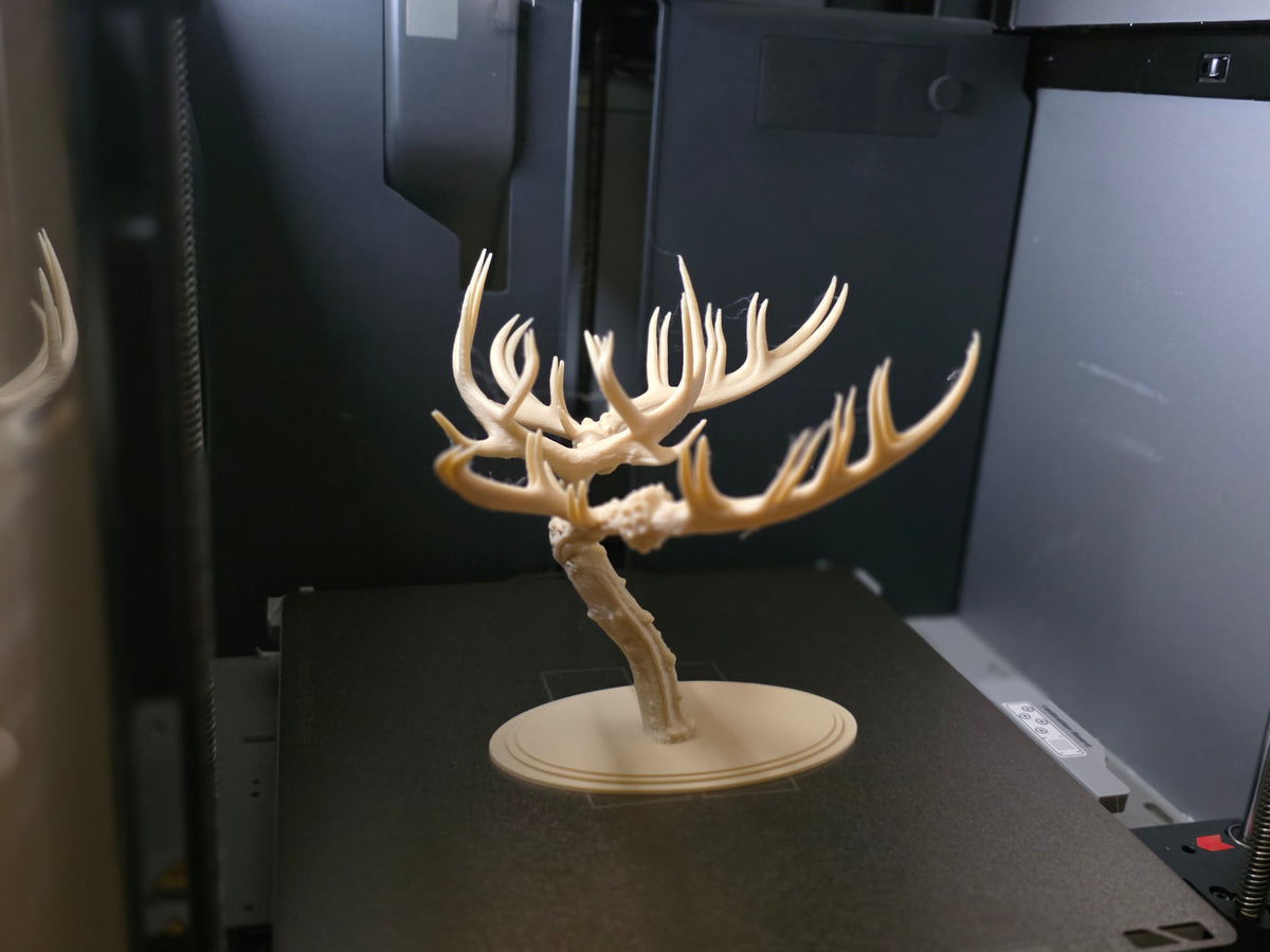 Bonsai Skulptur aus Hirschgeweih