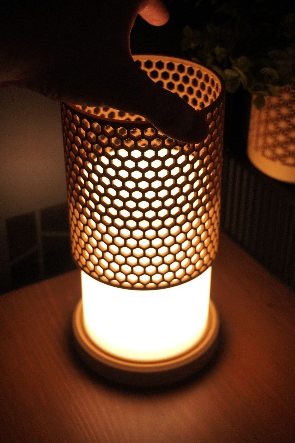 Image #3