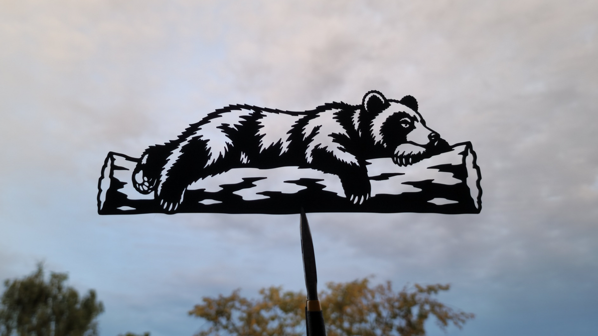 Schlafender Bär auf Baumstamm Wandkunst Dekoration Wandbild Wanddeko Tiere