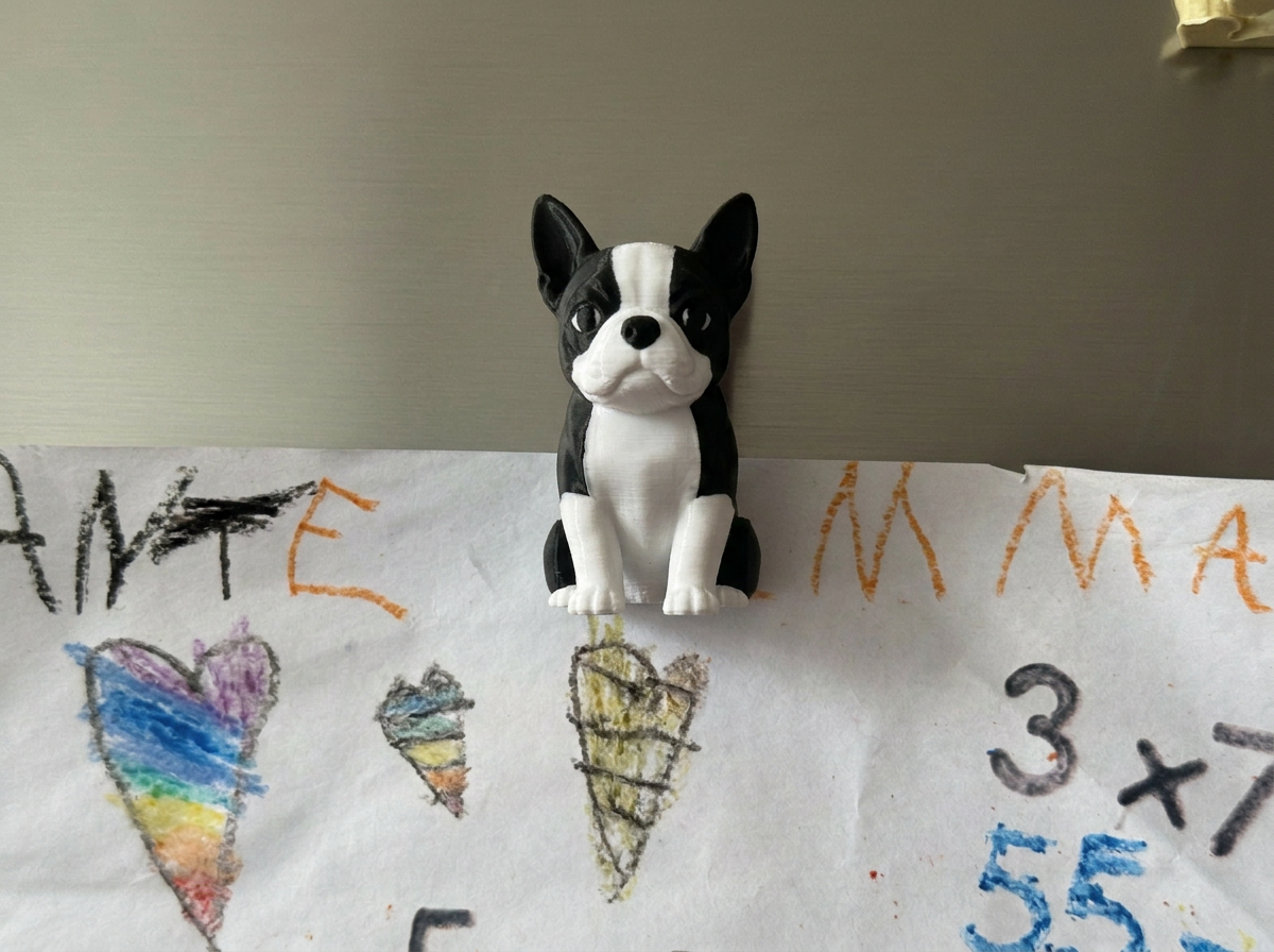 Kühlschrankmagnet Boston Terrier Deko