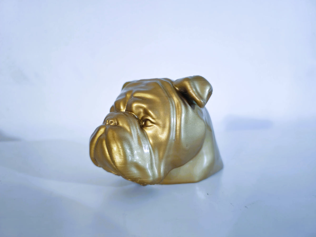 Boxer Hundekopf