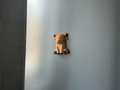 Kühlschrankmagnet Hochlandrind Deko Variante 2