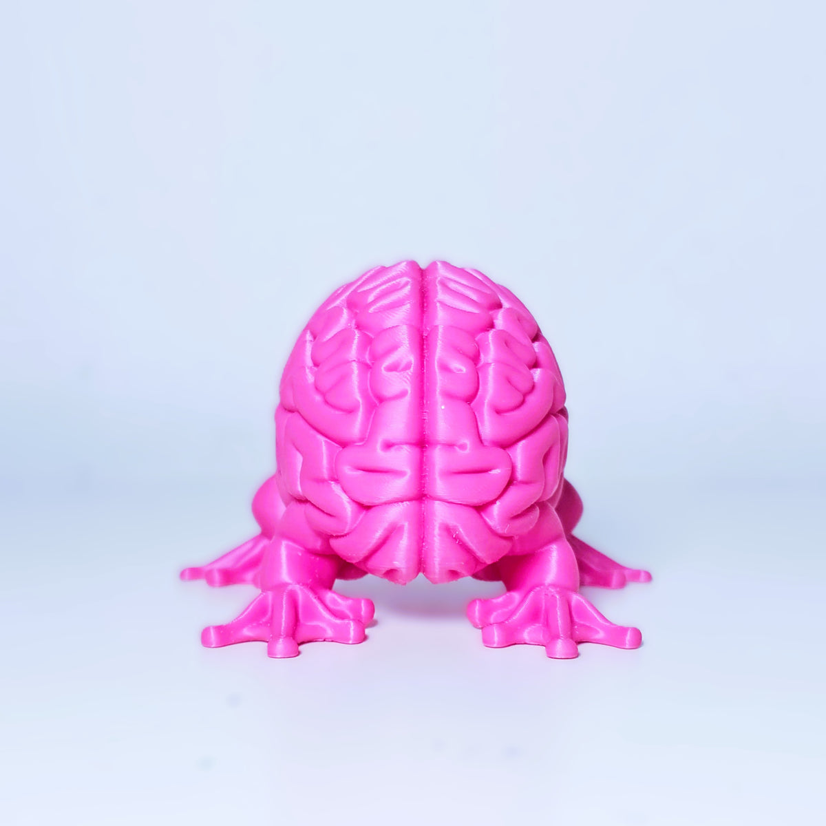 Gehirn Frosch Kreatur Figur