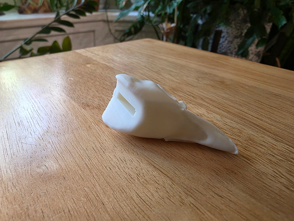 Kragenhuhn Kopf Präparat-Optik