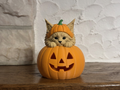 Teelichthalter Kürbis mit Maine Coon Halloween Deko