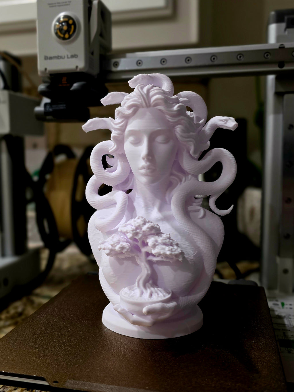 Medusa Bonsai Skulptur