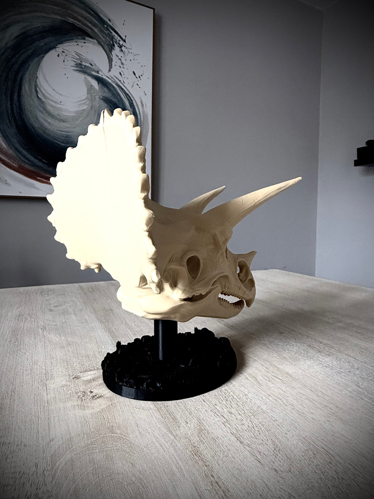 Triceratops Schädel mit Fossil-Ständer