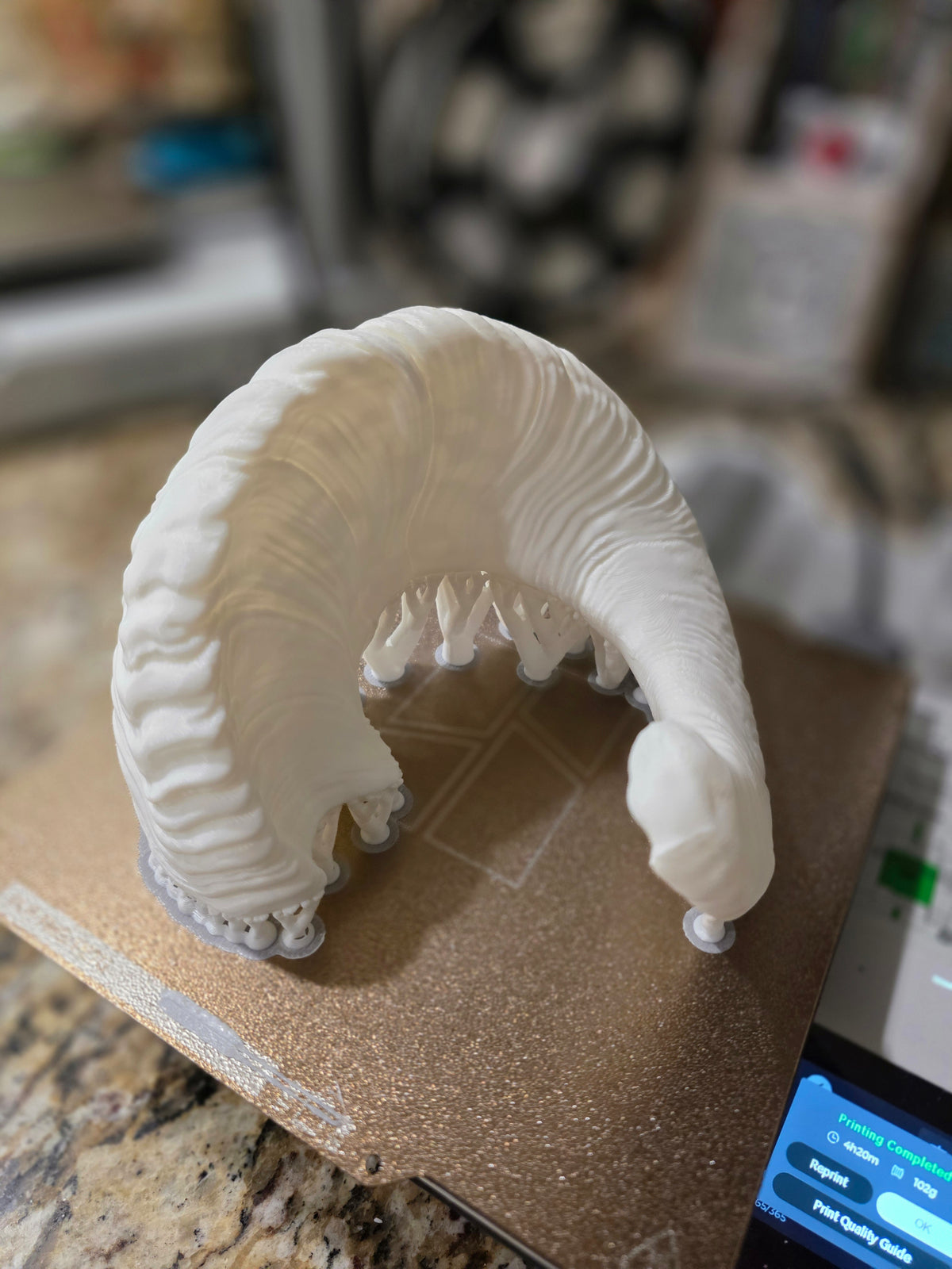 Dickhornschaf Mini Replik