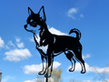 Chihuahua Hund Wandkunst.mf Wandbild Wanddeko Wanddekoration Tierfigur