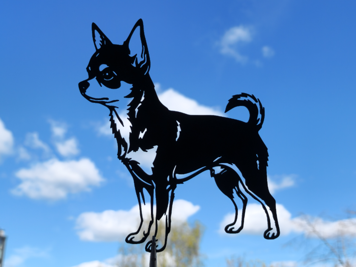 Chihuahua Hund Wandkunst.mf Wandbild Wanddeko Wanddekoration Tierfigur
