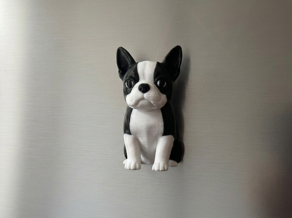 Kühlschrankmagnet Boston Terrier Deko