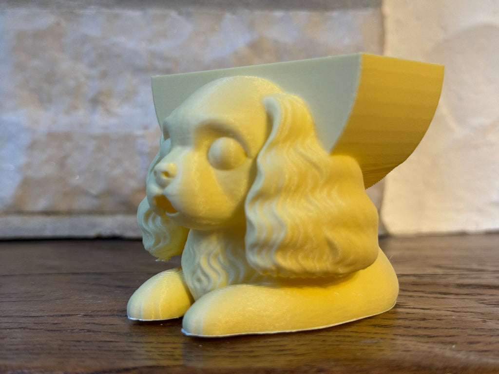 Schwammhalter Cavalier King Charles Küche Deko