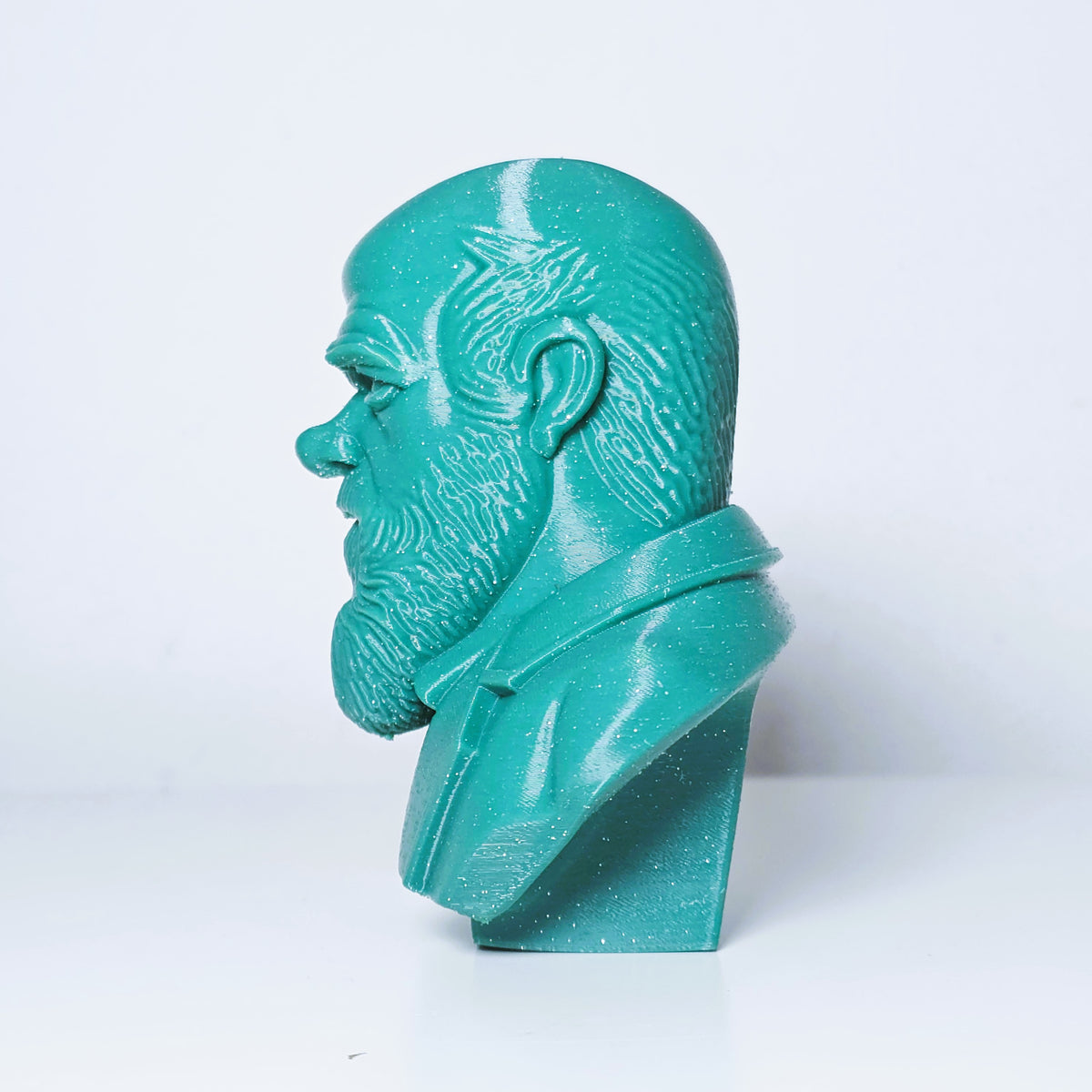 Charles Darwin Büste