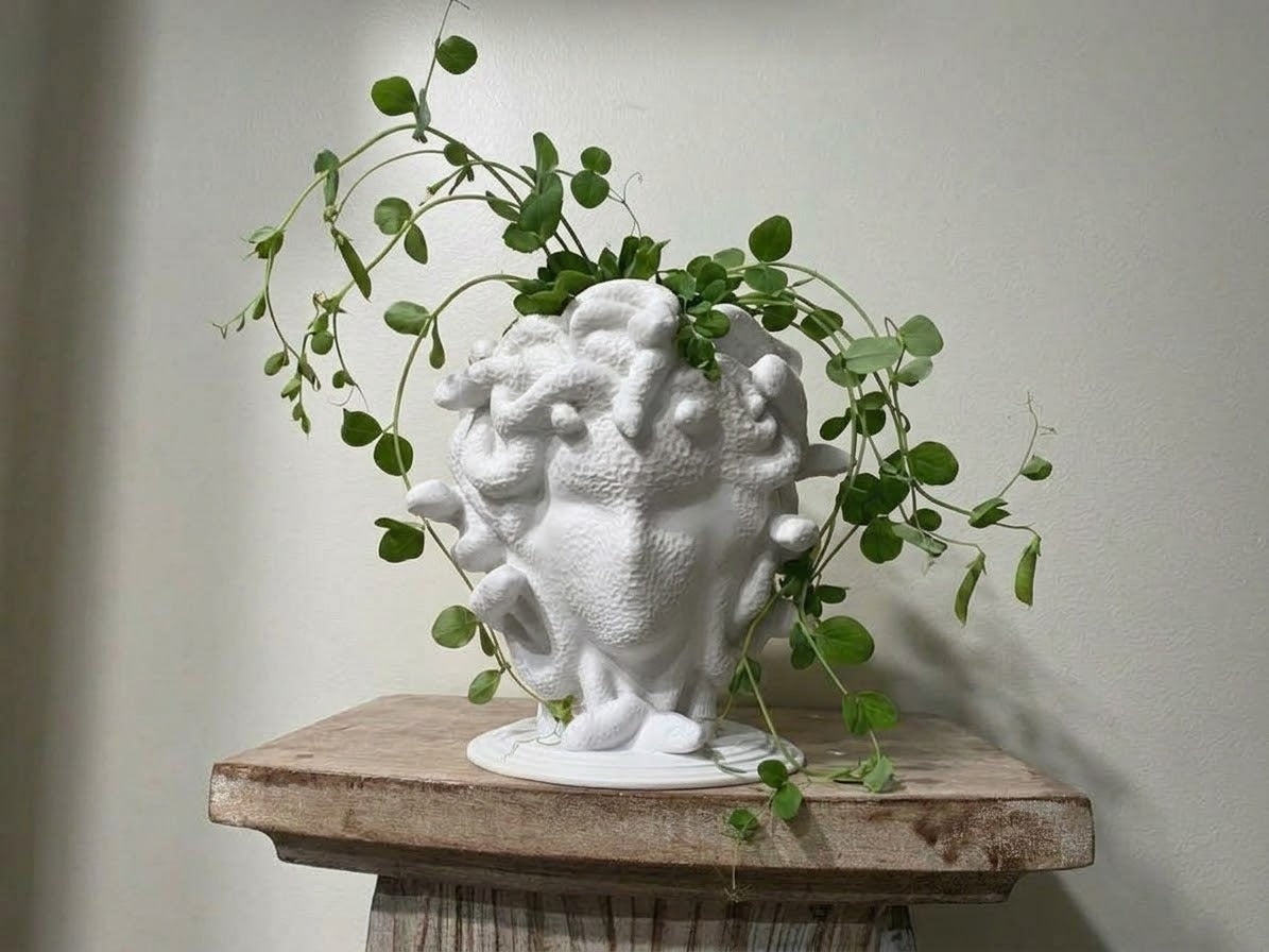 Medusa Pflanztopf minimalistisch