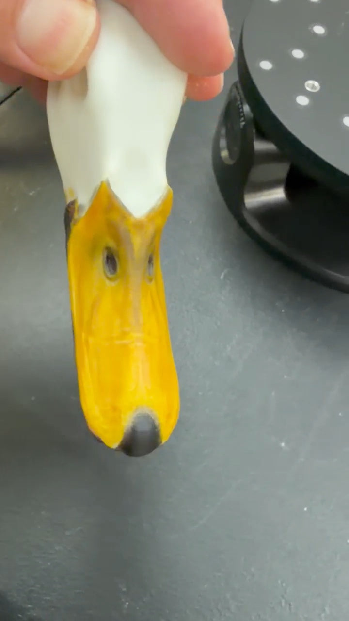 Entenkopf Stockente Erpel offen Wanddeko